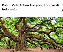 Tree Artinya Apa Dalam Bahasa Indonesia